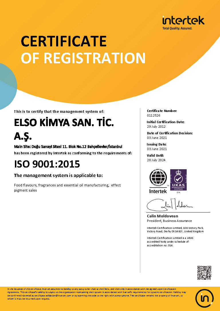 elso2021-iso-9001-2015