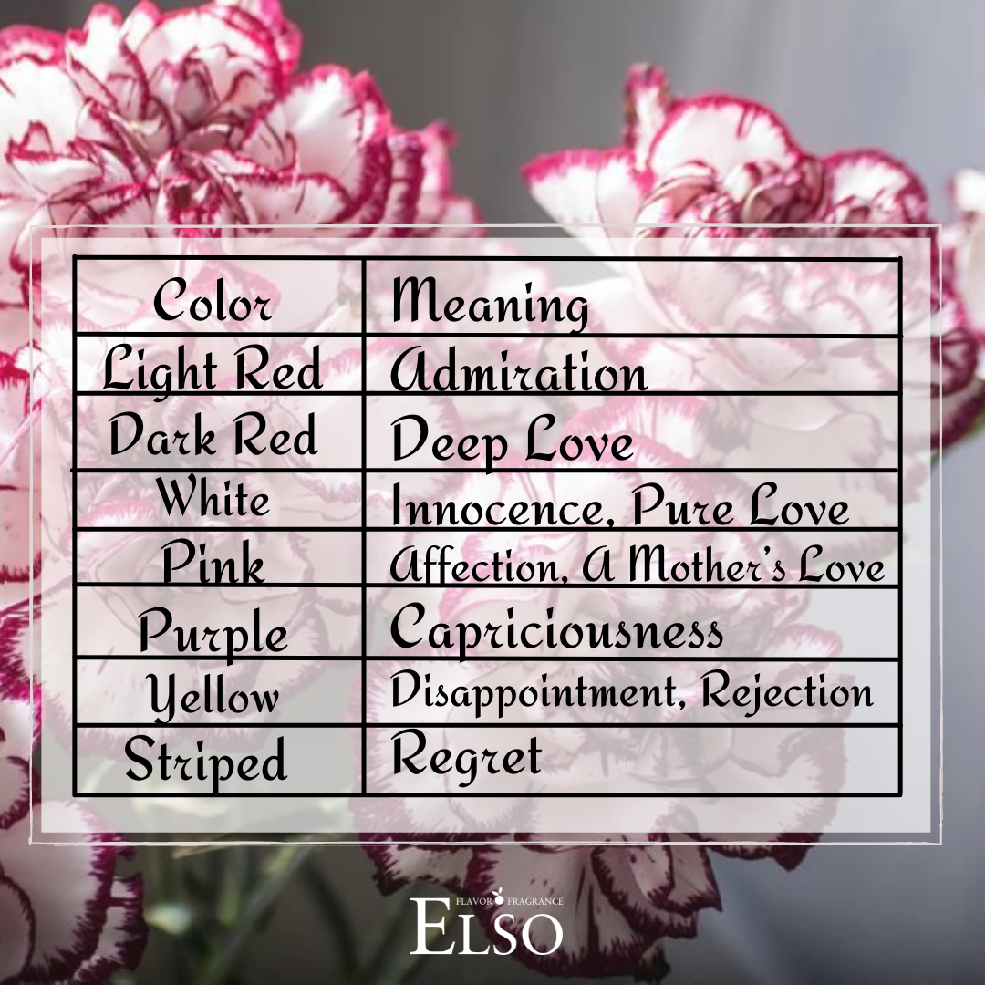 Colors & Meanings  of Carnations