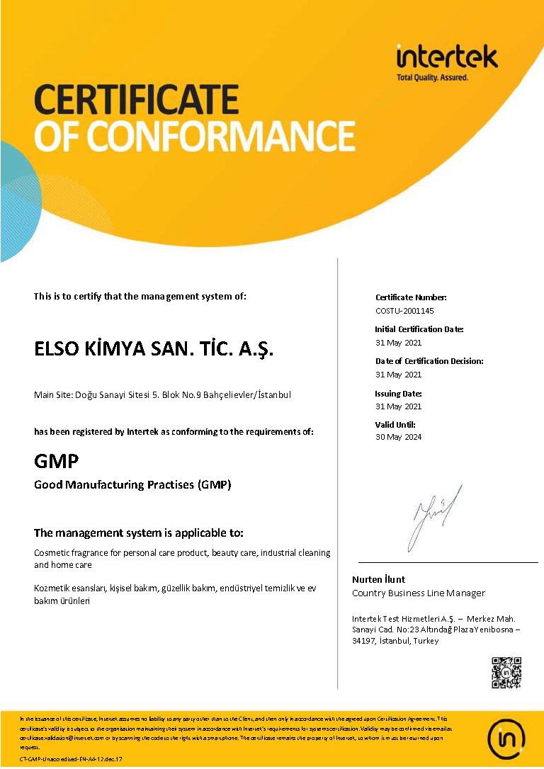 elso2021-gmp